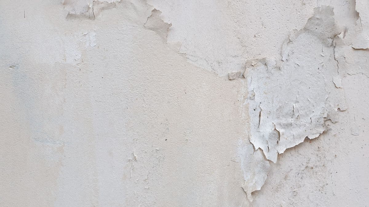 Peeling paint on a concrete wall from moisture damage, a common issue in Navi Mumbai homes